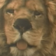 Image for article titled This lion fucks